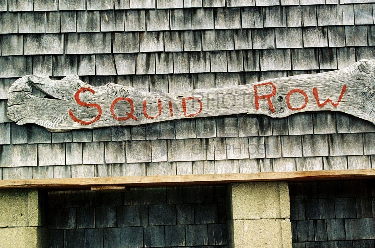 1302 Squid Row, Cape Cod, MA