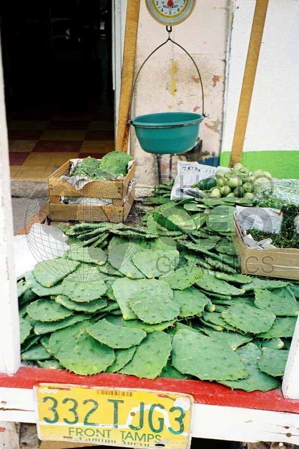 1329 Prickly Pear Market, Matamoras, Mexico