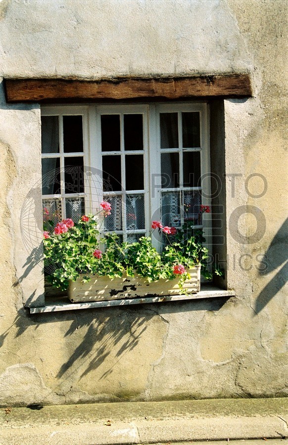 1393 Window Box, Paris, France