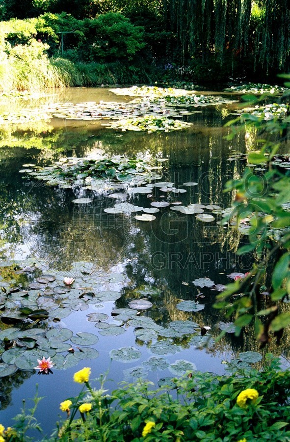1399 Monet Garden, Giverny, France