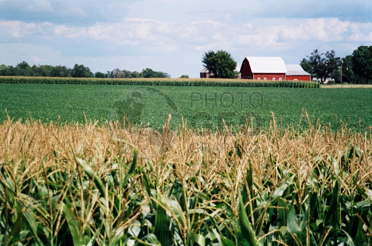 1453 Barn, Peru, IL