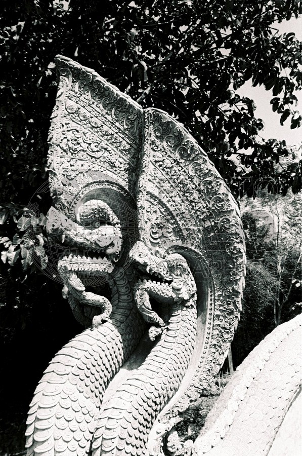 1464 Dragon (b/w), Chaing Mai, Thailand