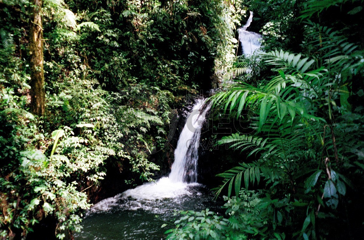 1468 Jungle Waterfalls, Costa Rica