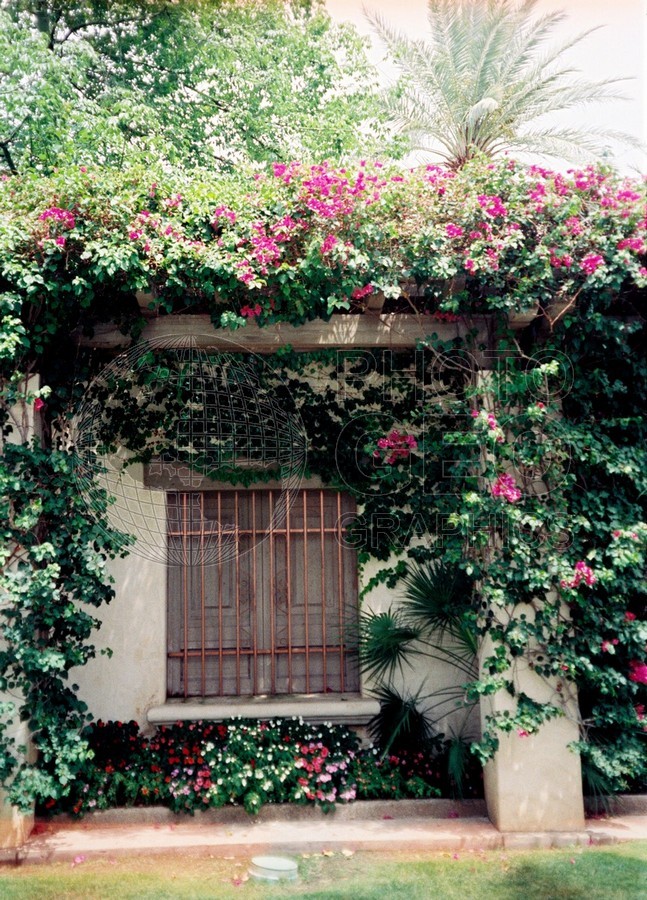 1516 Window, LaQuinta, CA