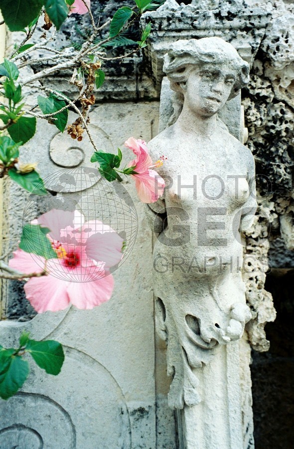 1526 Statue & Hibiscus, Palm Beach, FL