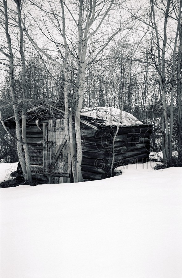 1533 Log Cabin, Darby, MT