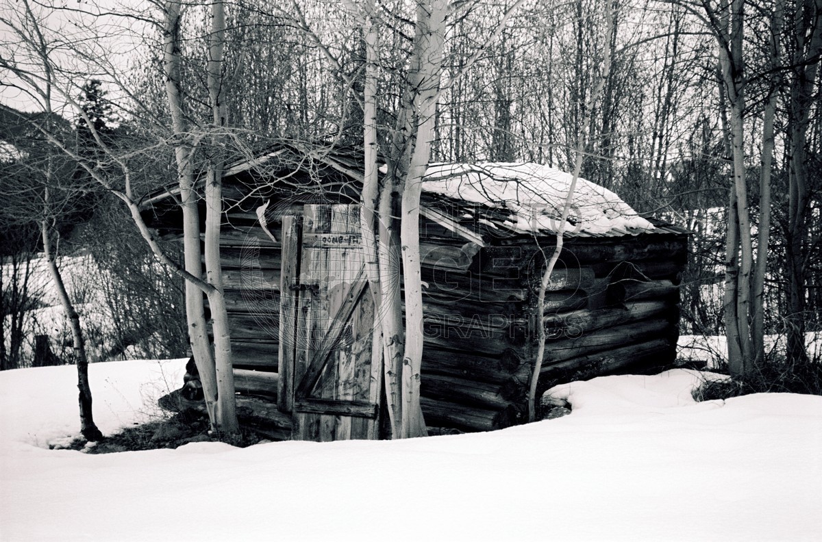 1534 Log Cabin, Darby, MT