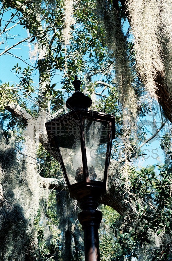 1564 Street Light, Point Clear, AL