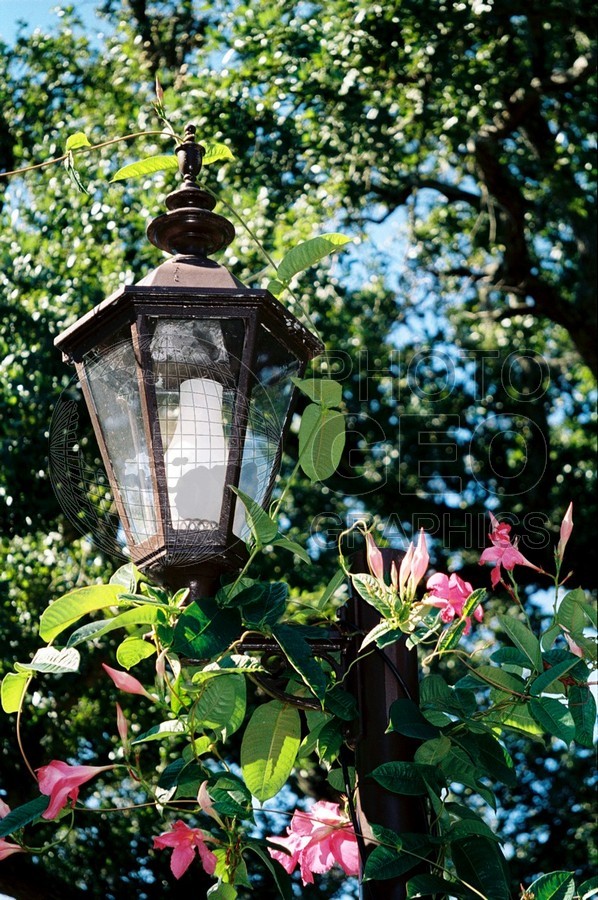 1565 Street Light, Point Clear, AL