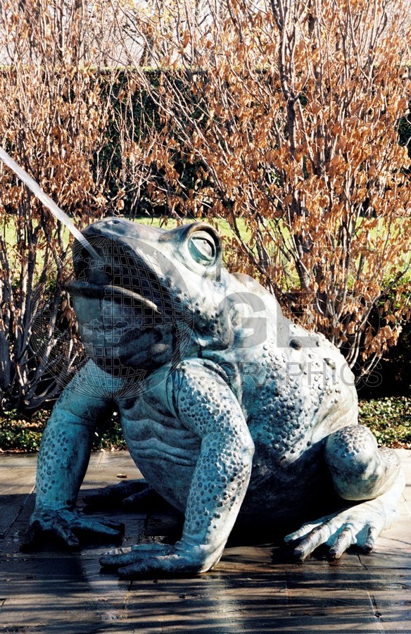 1615 Frog Fountain, Dallas, TX