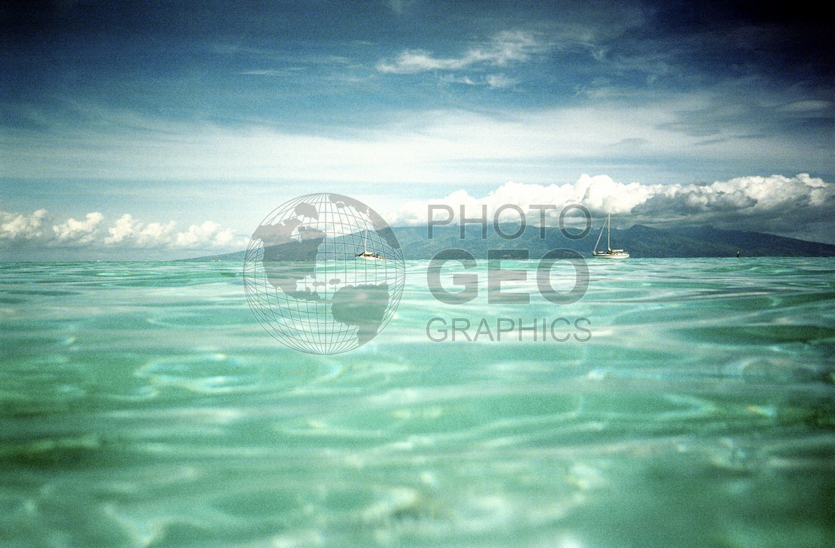 1631 Shoreline, Moorea, French Polynesia