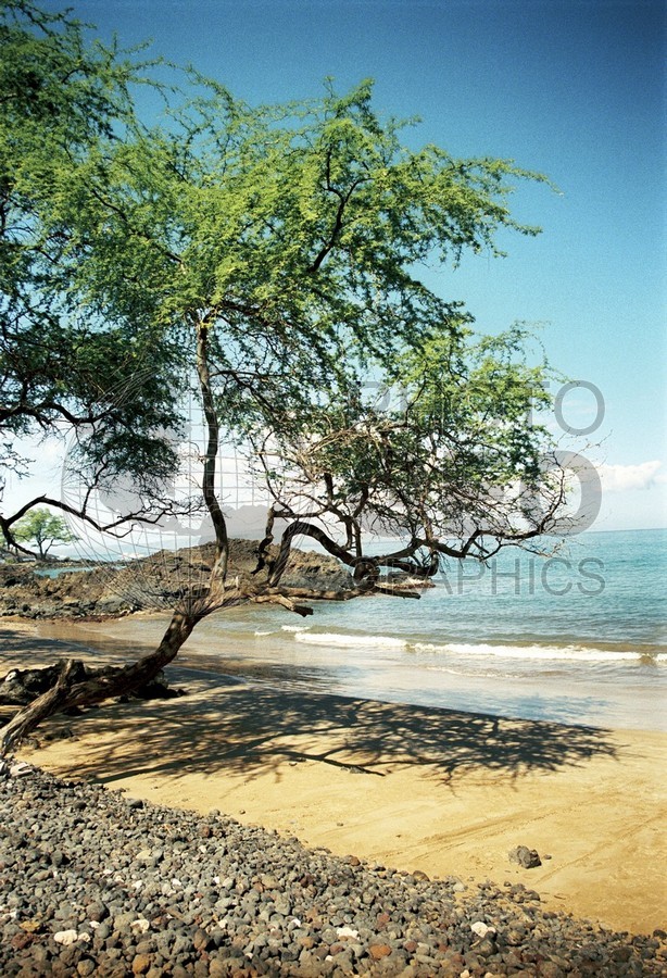 1738 Beach, Maui, HI