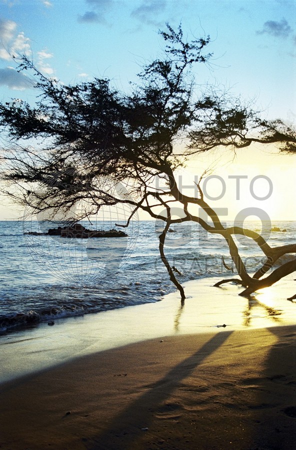 1739 Beach Sunset, Maui, HI