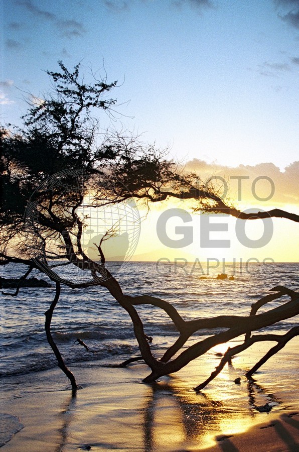 1741 Beach Sunset, Maui, HI