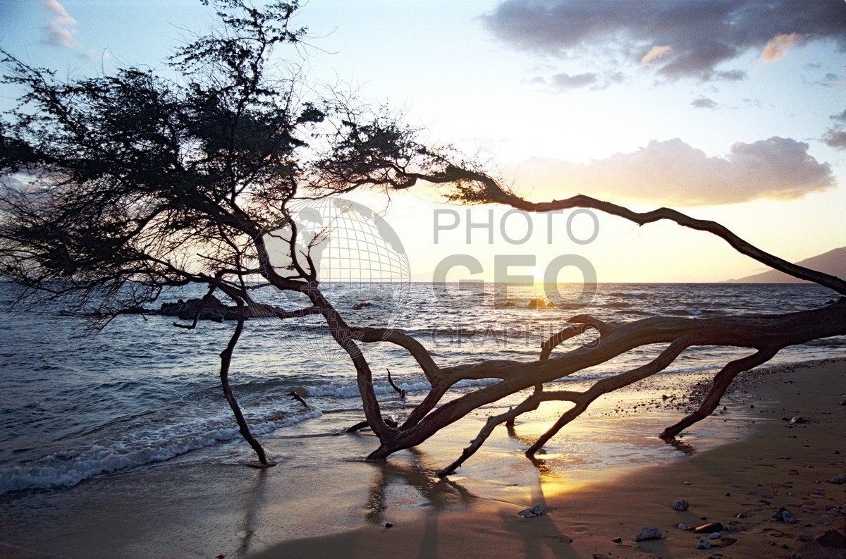 1742 Beach Sunset, Maui, HI