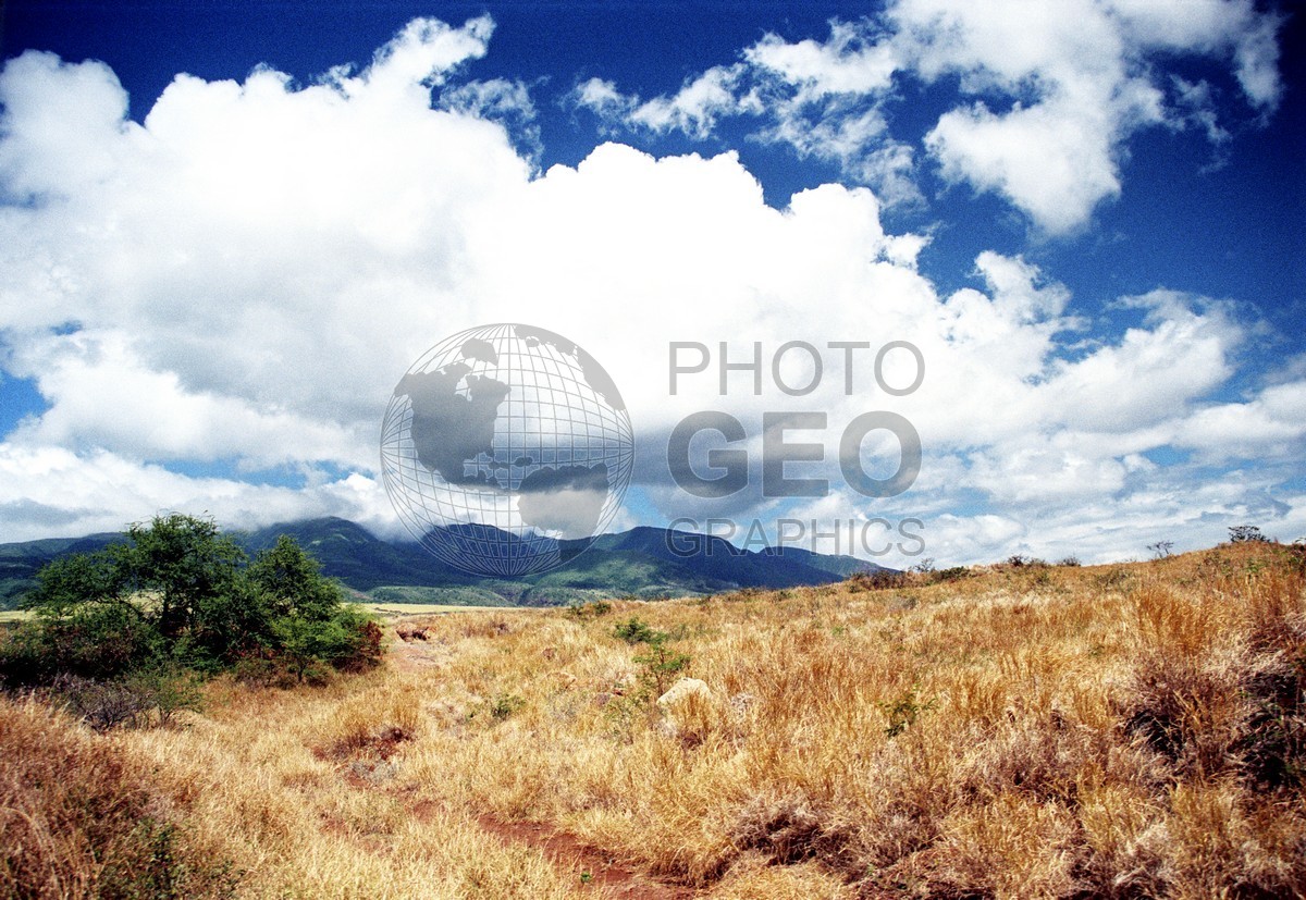 1743  Golden Fields, Maui, HI