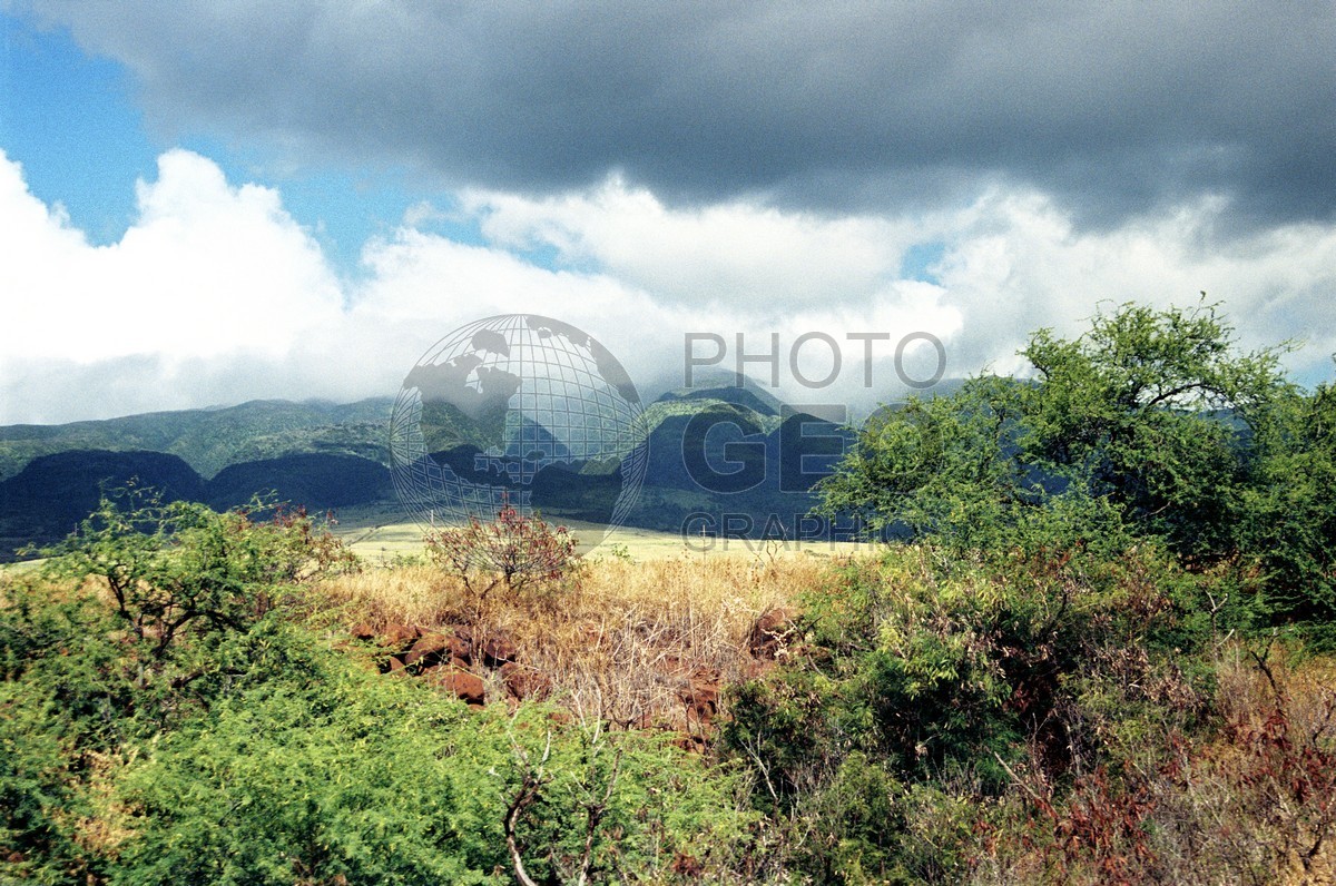 1744  Golden Fields, Maui, HI