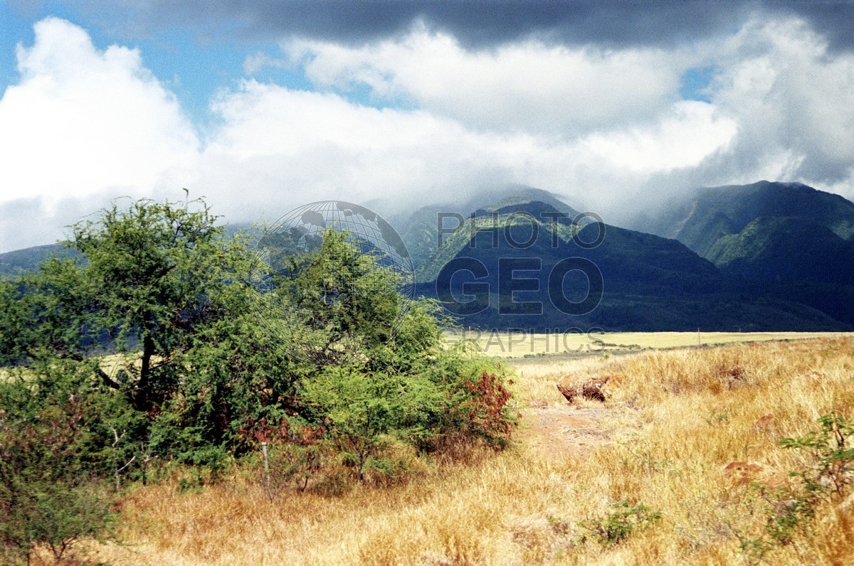 1745  Golden Fields, Maui, HI