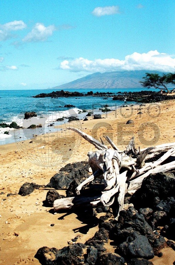1766 Beach, Maui, HI