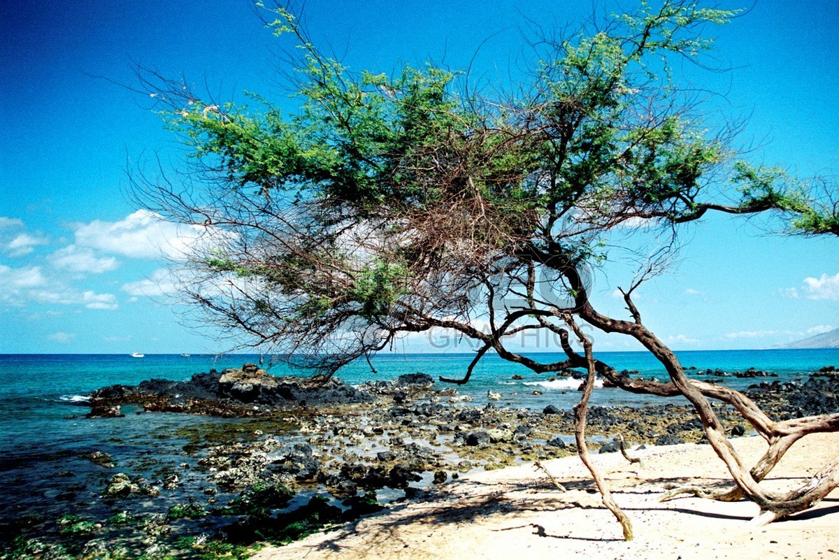 1769 Beach, Maui, HI