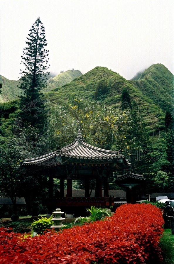 1796 Iao Valley, Maui, HI