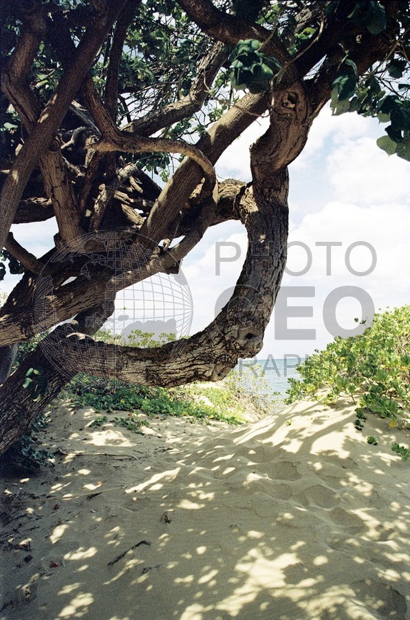 1801 Shadow in Beach, Maui, HI