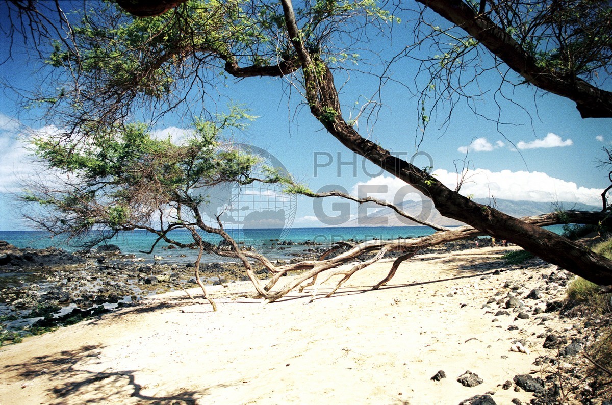 1805 Beach. Maui, HI