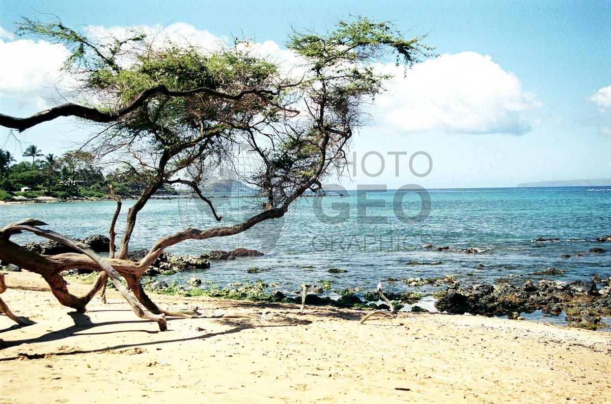 1806 Beach. Maui, HI
