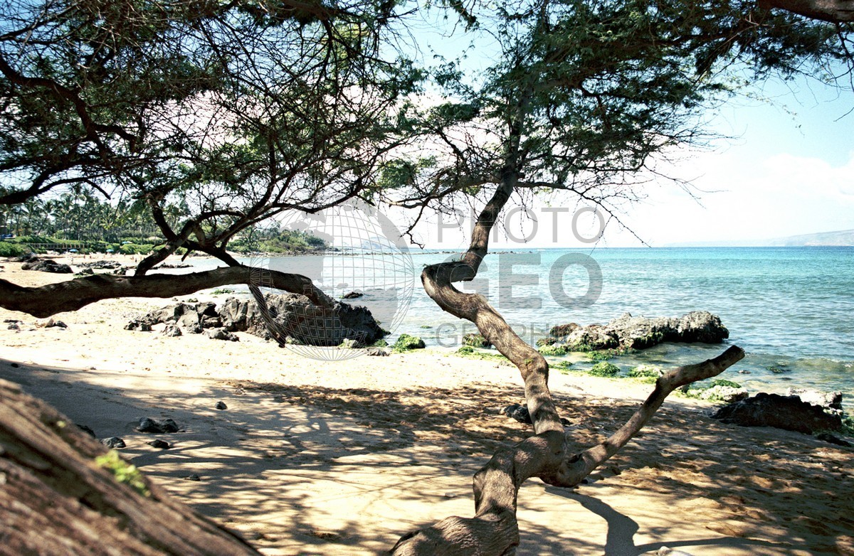 1808 Beach. Maui, HI