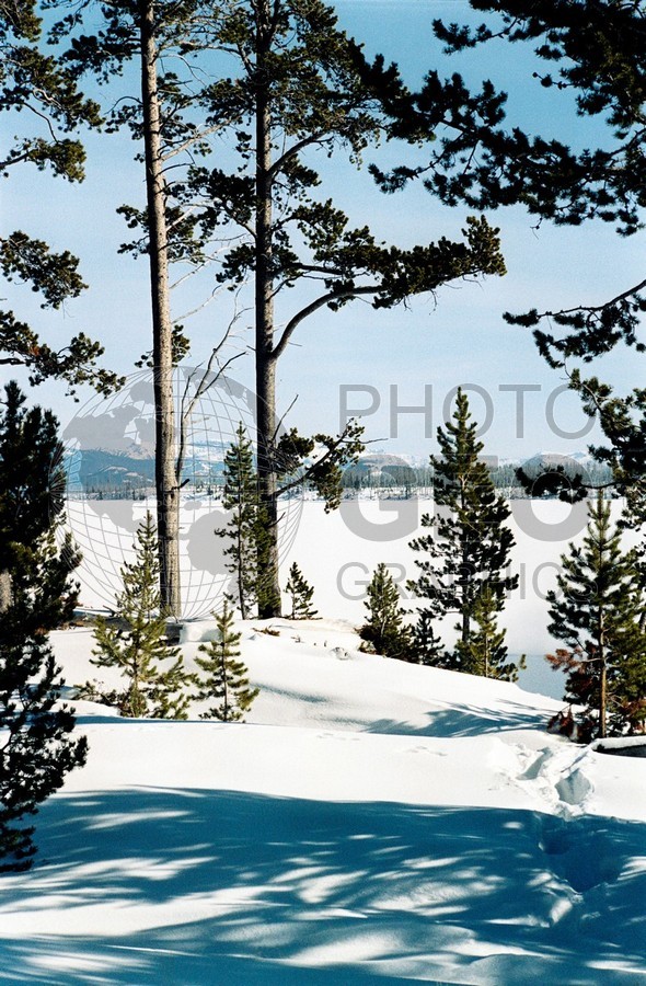 1833 Snowy Meadow Yellowstone National Park, WY