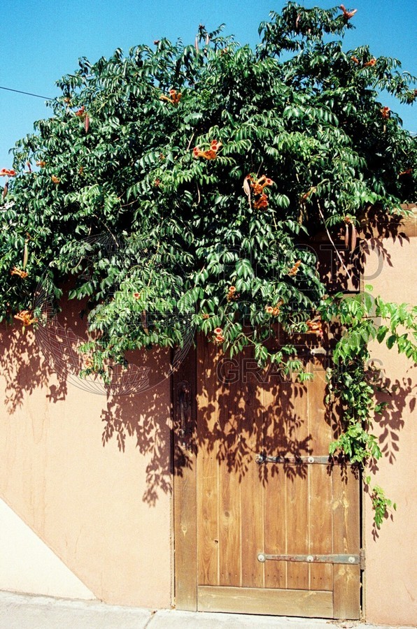 1844 Door on Orange Wall, Albuquerque, NM