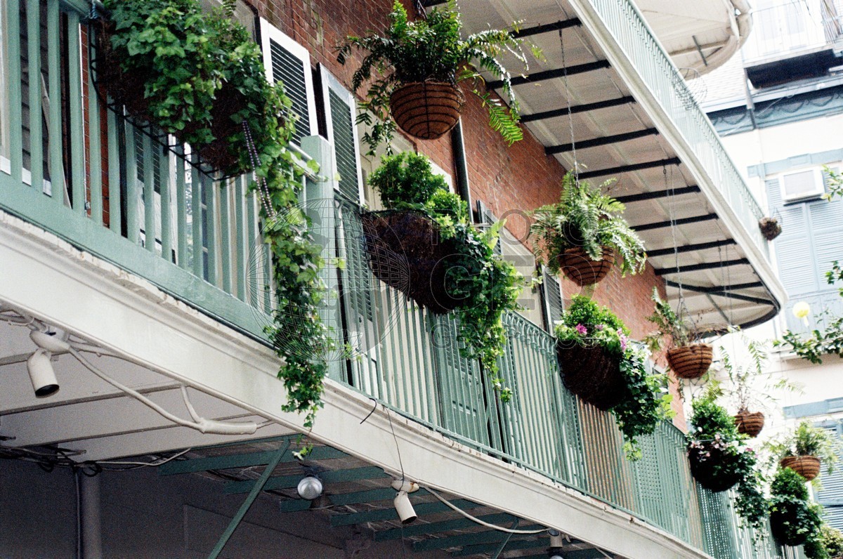 1865 Bourbon Street Balcony, New Orleans, LA