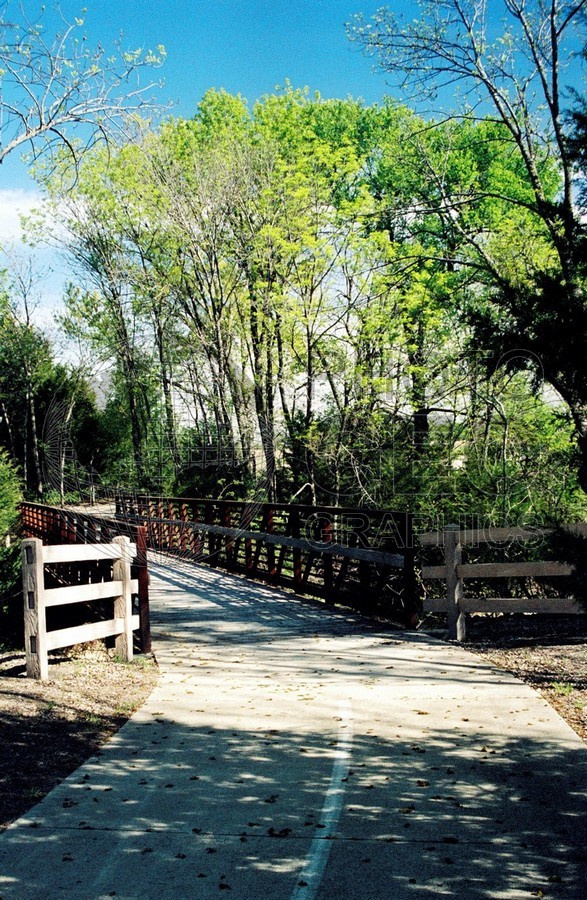 1867 Texas Springtime, Richardson, TX