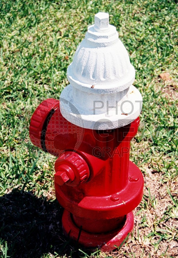 1868 Doghouse Decor