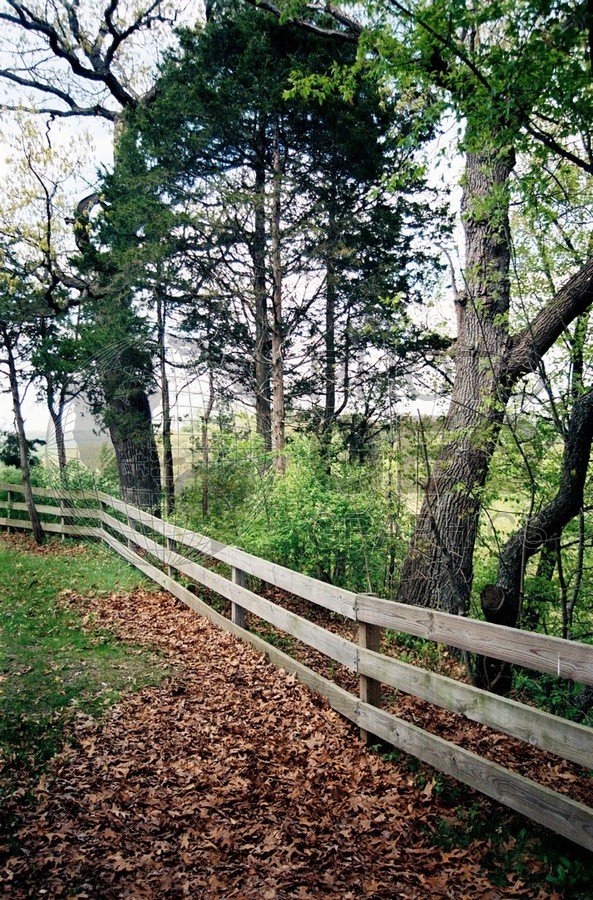 1871 Springtime, Starved Rock State Park, Oglesby, IL