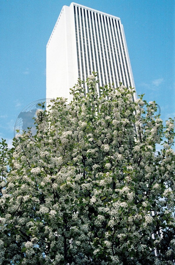 1881 Skyscraper, Chicago, IL