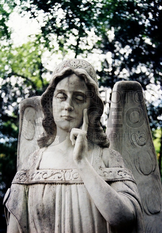 1882 Angel, Dallas, TX