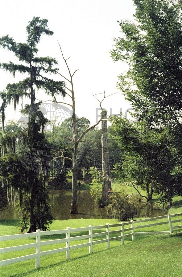 1911 Swampy Lake, Baton Rouge, LA