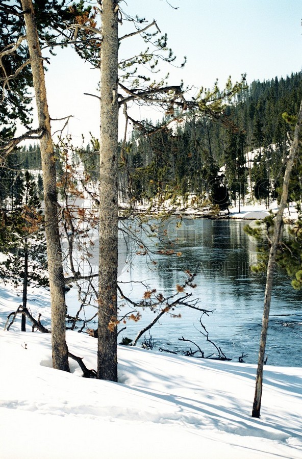 1946 Lake, Yellowstone National Park, WY