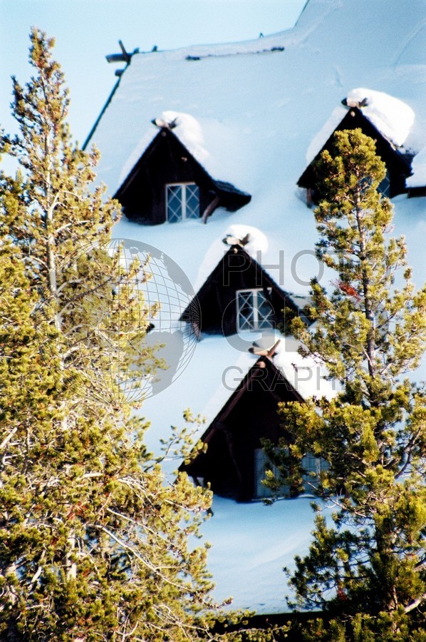 1950 The Lodge, Yellowstone National Park, WY