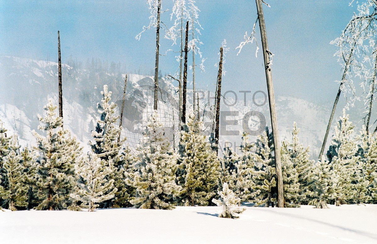 1959 Snowscape, Yellowstone National Park, WY