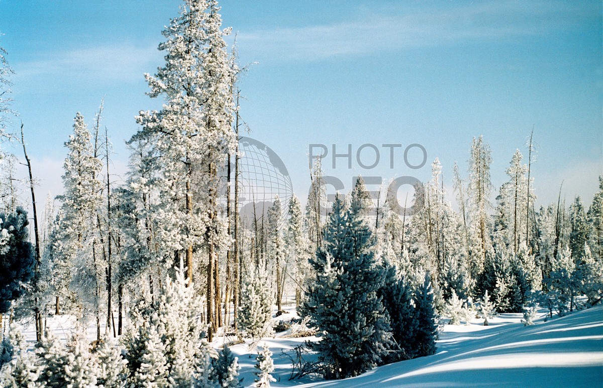 1963 Snowscape, Yellowstone National Park, WY