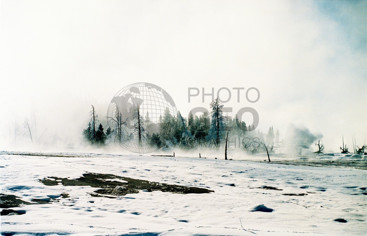 1965 Snowscape, Yellowstone National Park, WY