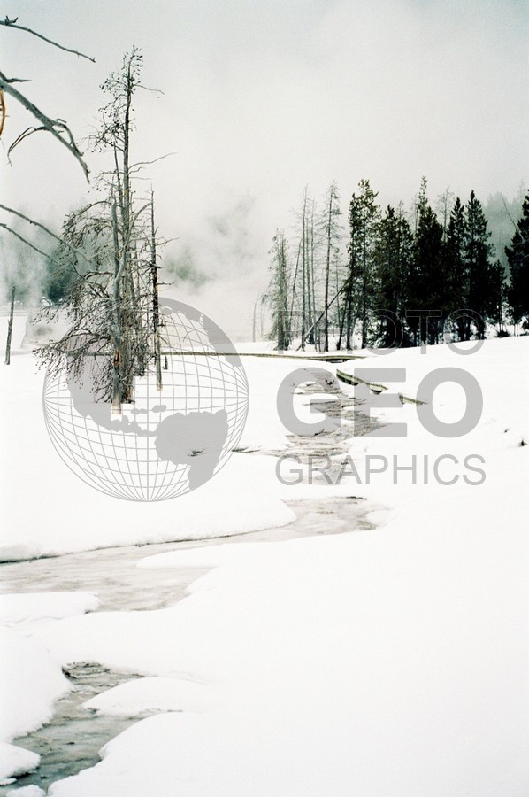 1985 Stream in Snow, Yellowstone National Park, WY