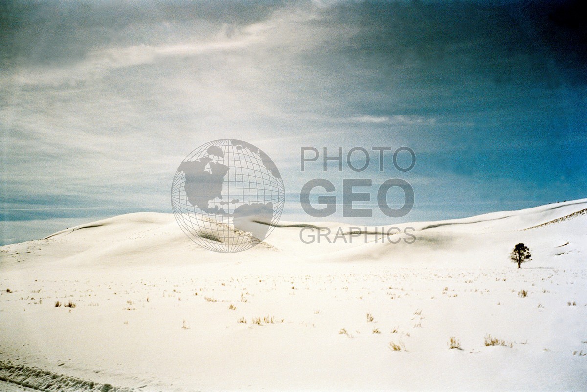 1991 Snowscape, Yellowstone National Park, WY
