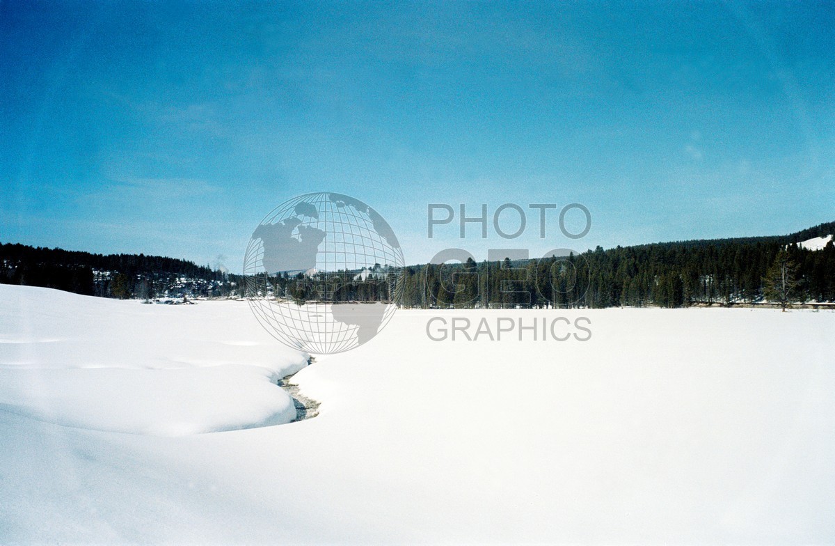 1996 Snowscape, Yellowstone National Park, WY