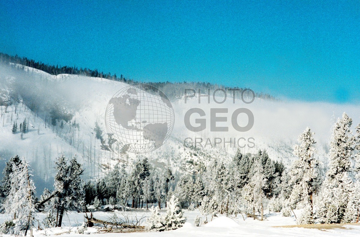 1999 Snowscape, Yellowstone National Park, WY