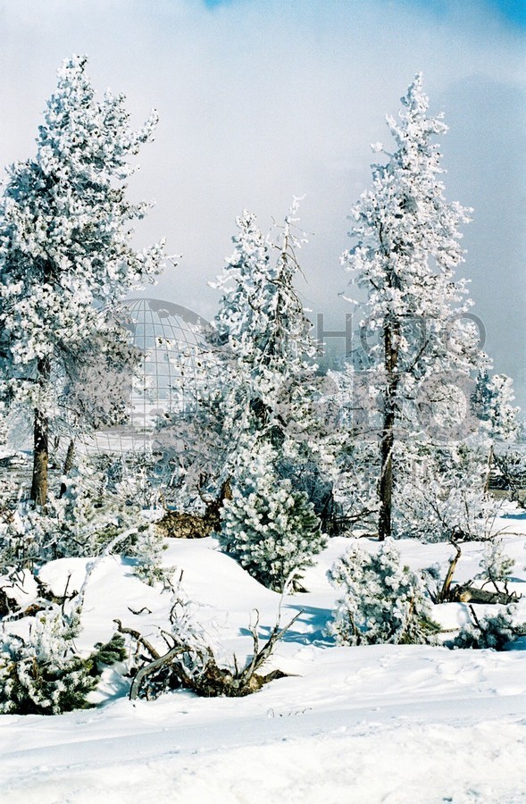 2006 Snowscape, Yellowstone National Park, WY