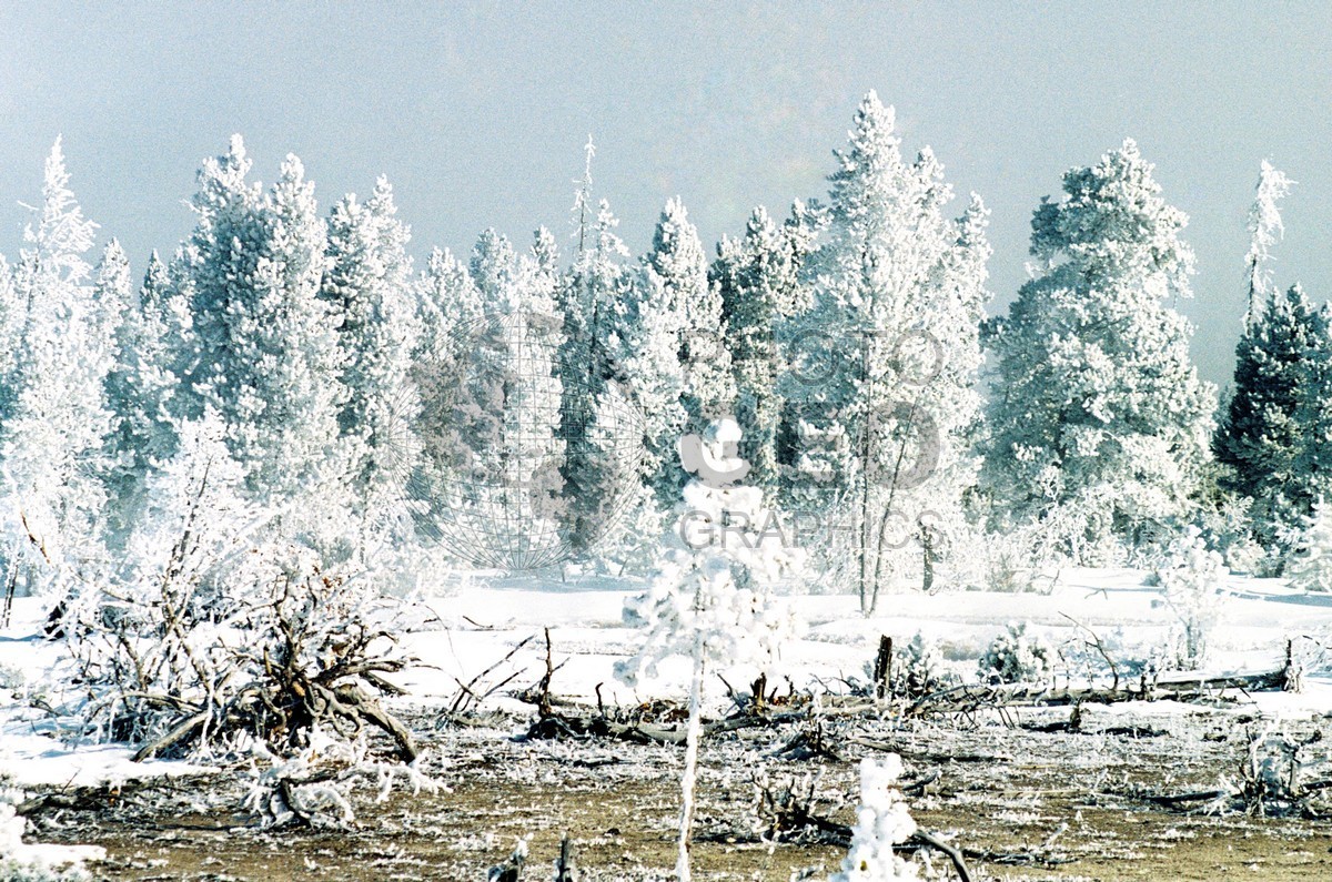 2007 Snowscape, Yellowstone National Park, WY