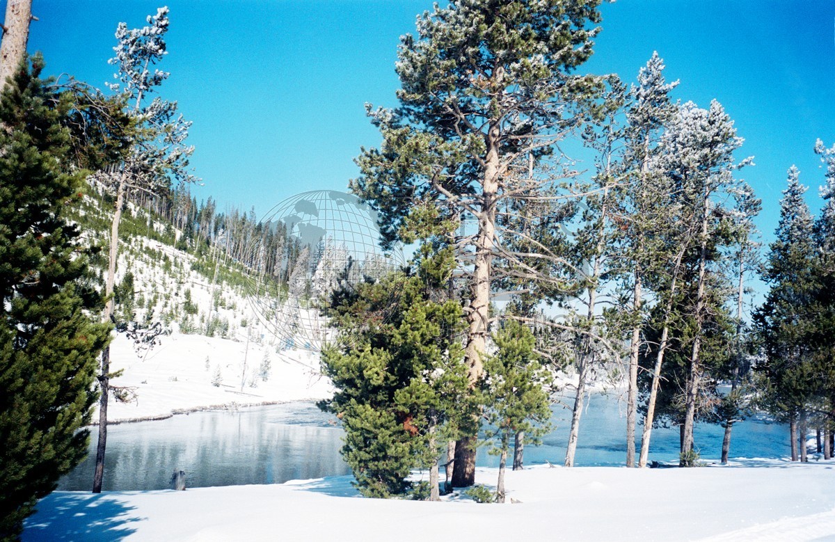 2015 Reflective Lake, Yellowstone National Park, WY